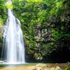 鞠水先生